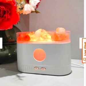 LED Himalayan Salt Lamp Oil Diffuser
